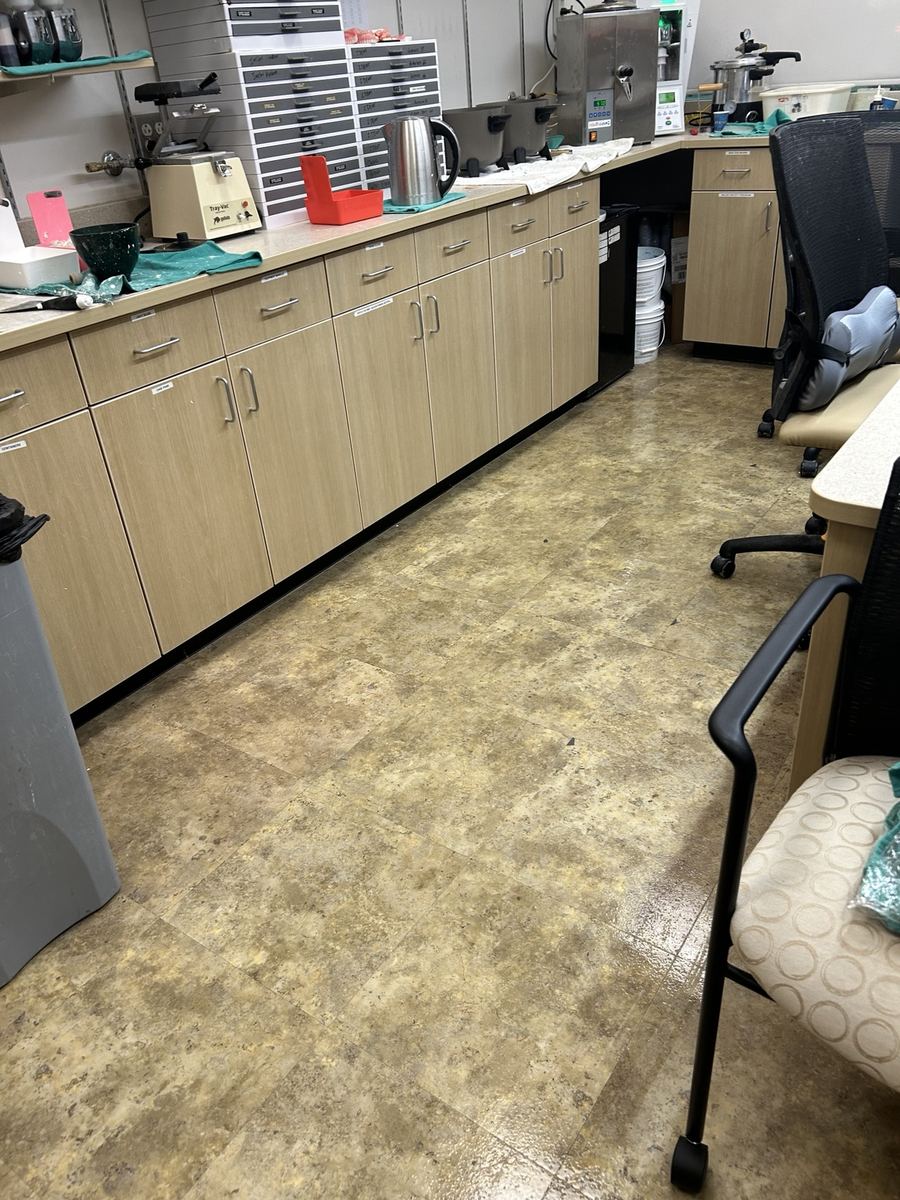 Clean commercial breakroom floor